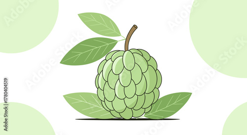 Illustration Of A Freshly Drawn Custard Or Sugar Apple, Isolated On White Background