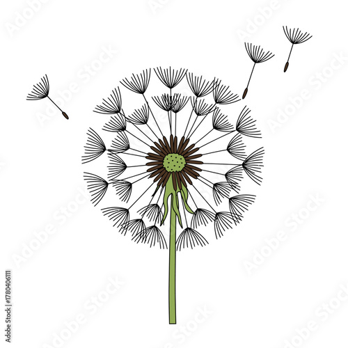 A close-up illustration of a dandelion with seeds blowing in the wind, suggesting growth and change