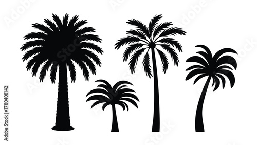 Silhouette of various palm trees