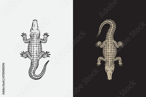 Vintage crocodile hand drawn style vector illustration for wildlife logo, adventure branding, tattoo design