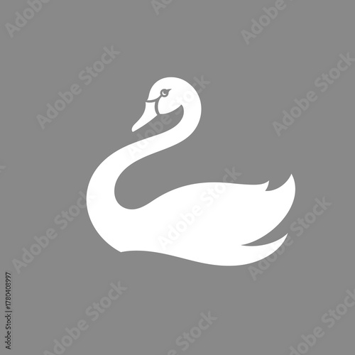 Fototapeta Naklejka Na Ścianę i Meble -  White swan vector. Beautiful bird 