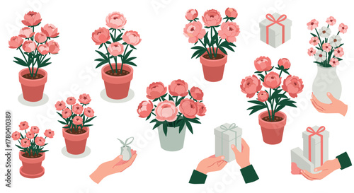 Elegant floral arrangements with gift boxes and hands in flat design