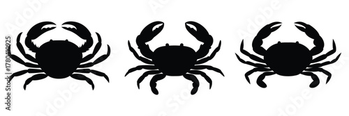 set of crab silhouette, vector illustration 