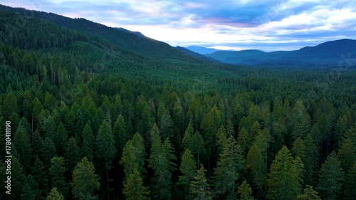 Aerial Drone View Over Oregon Umpqua Forest in Low Light