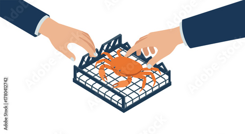Isometric crab handling hands releasing crab from trap for conservation and sustainability