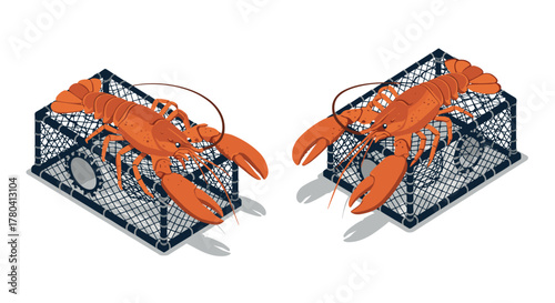 Isometric lobster traps with lobsters detailed marine life illustration