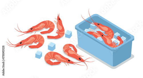 Fresh shrimp and ice cubes in container on white background