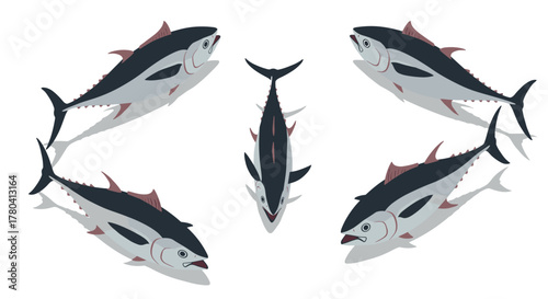 Flat design tuna fish collection on white background