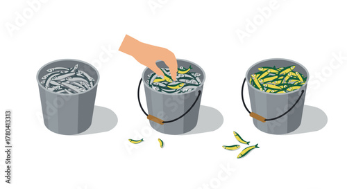 Isometric hand selecting sardines from buckets in sequence