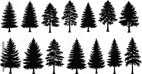 Coniferous tree silhouettes, pine fir spruce icons, evergreen forest shapes, black foliage design set, woodland nature illustration, botanical landscape elements, flat vector