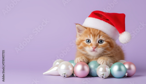 Cute kitten, santa hat, holiday, festive, pet, christmas cheer on pastel lavender scene
