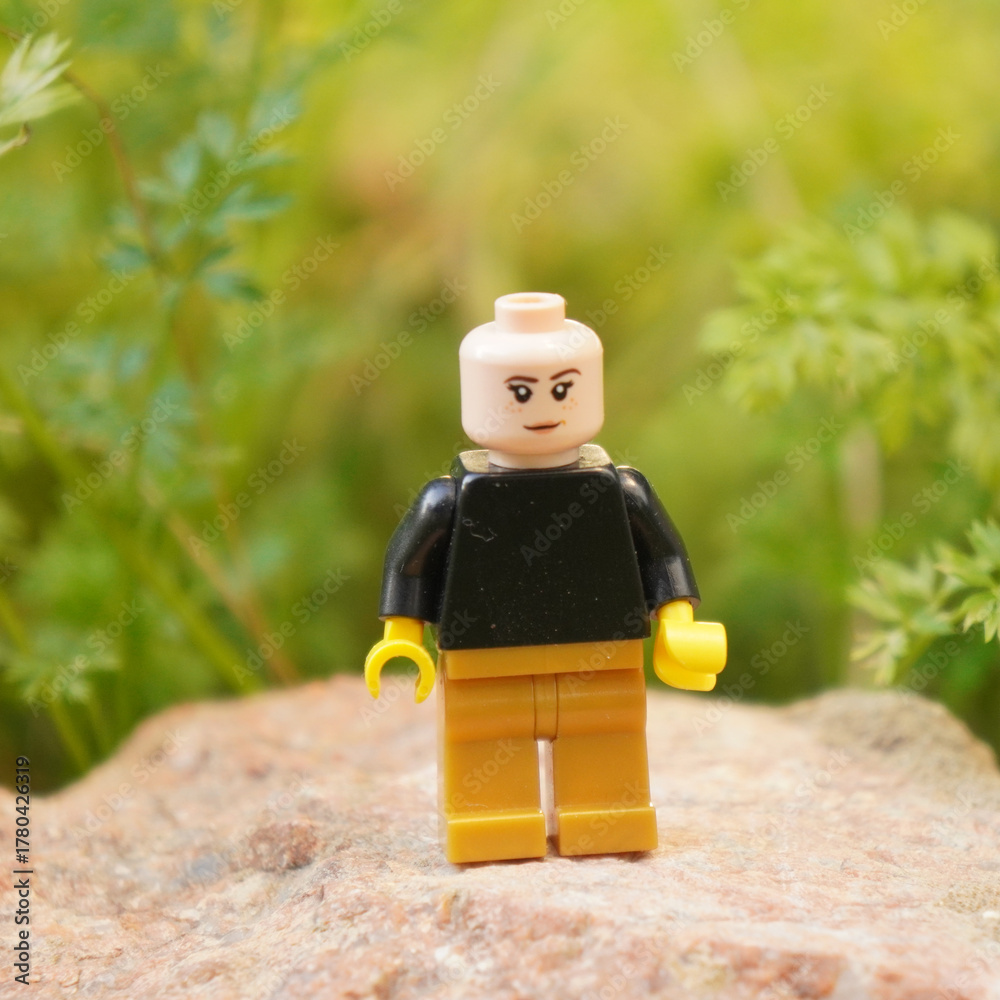 Naklejka premium Lego minifigure standing on a rock with a blurred green background