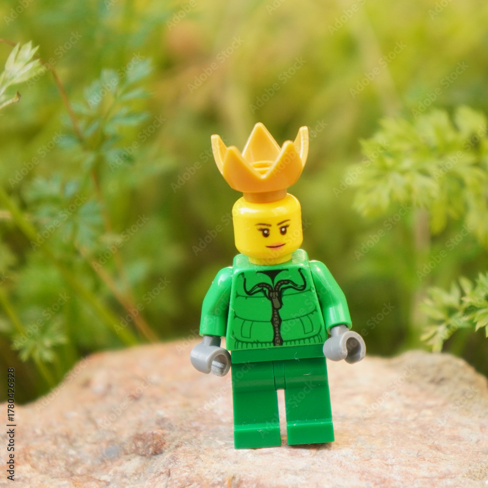Naklejka premium Lego figure wearing a crown stands on a rock with a blurred green background