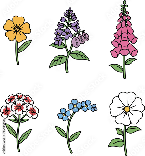 Biennial Flowers Simple Vector Collection