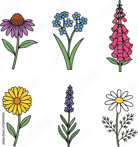 Medicinal Flowers Simple Vector Collection