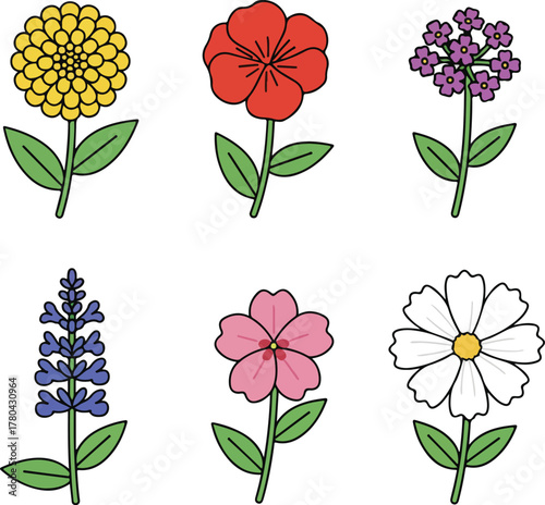 Annual Flowers Simple Vector Collection