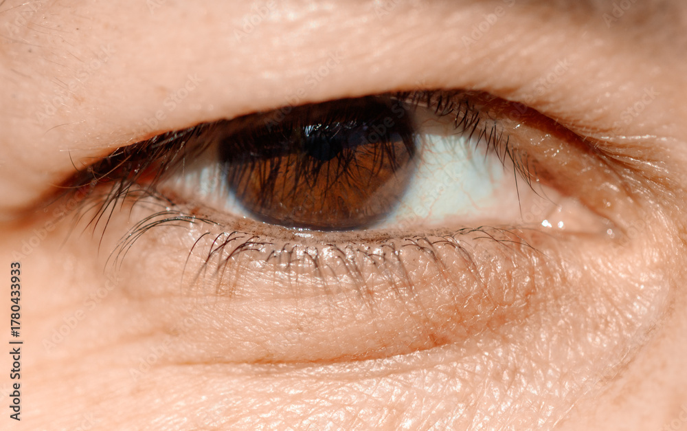 Obraz premium A person's eye with a brown iris