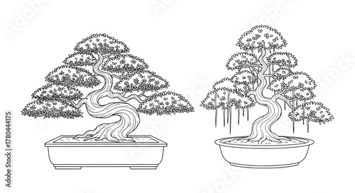 Detailed black and white illustration of two uniquely styled bonsai trees