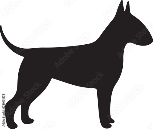 Abstract geometric shapes with bold colors and text elements