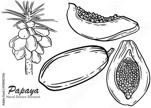 Black and white line art illustration of papaya fruit, including a whole papaya, a sliced papaya, and a papaya tree with fruit.