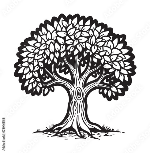 Black outline drawing of a lush oak tree with a wide canopy of detailed leaves and intricate roots.