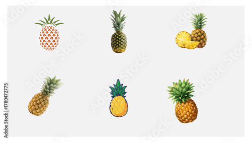 Variegated Pineapple vector
