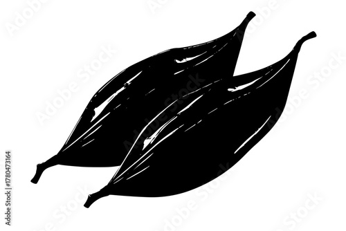 Nature's Art: Carob Pods Exquisite Detail | Clean, isolated vector art for creative projects.