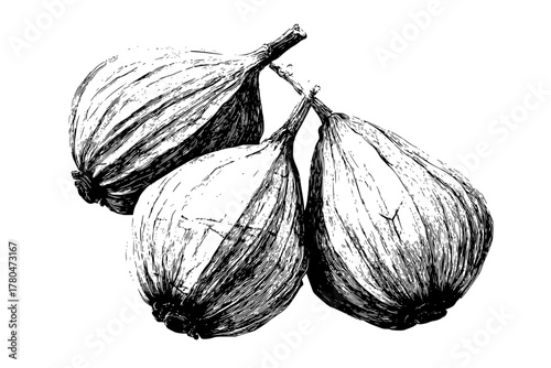 Three Caper Buds: Artistic Black White Sketch | Clean, isolated vector art for creative projects.
