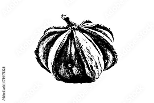 Moonlit Melodies: Whimsical Vignette Autumn's Favorite Squash | Clean, isolated vector art for creative projects.