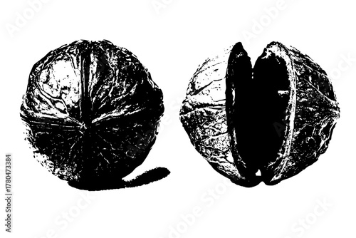 Vintage Walnut Hull: Artistic Portrayal Nature's Gift | Clean, isolated vector art for creative projects.