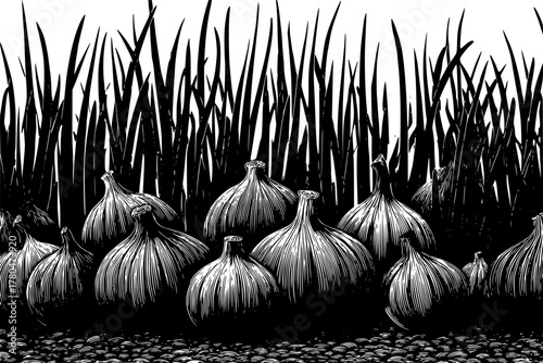 Harvest Season: Cardamom Lemongrass | Clean, isolated vector art for creative projects.