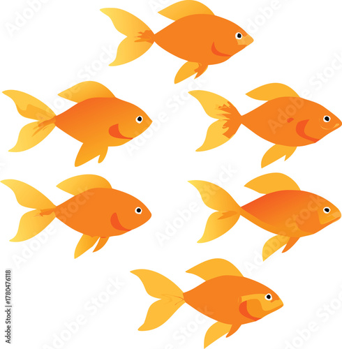 A group of charming orange goldfish swim in a clustered formation