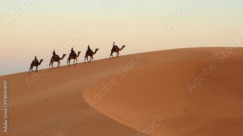 Fototapeta Naklejka Na Ścianę i Meble -  camel in the sahara desert