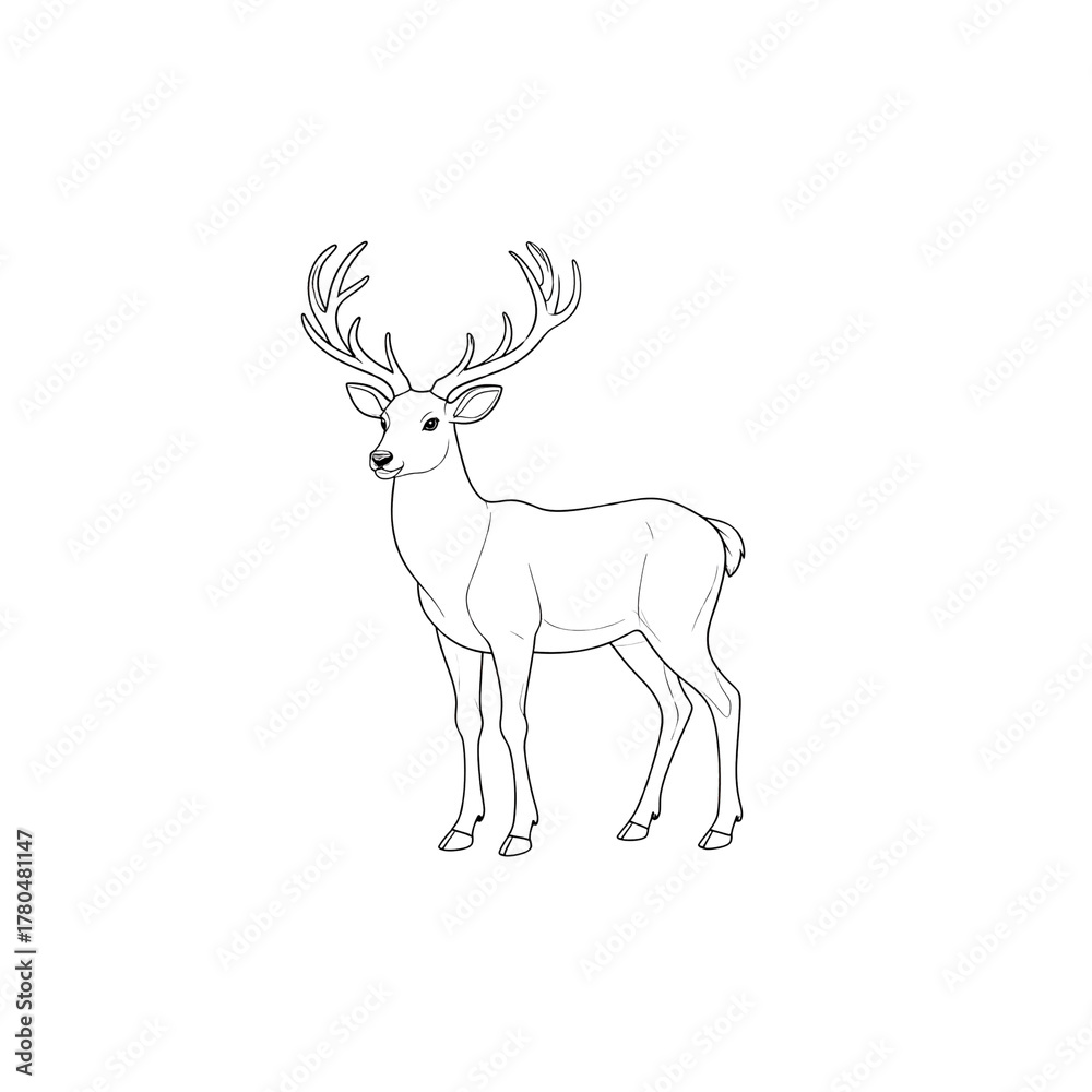 Fototapeta premium Deer with antlers separated on white background