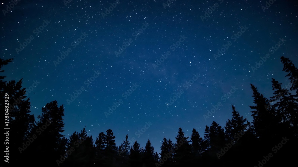 Fototapeta premium night sky with stars