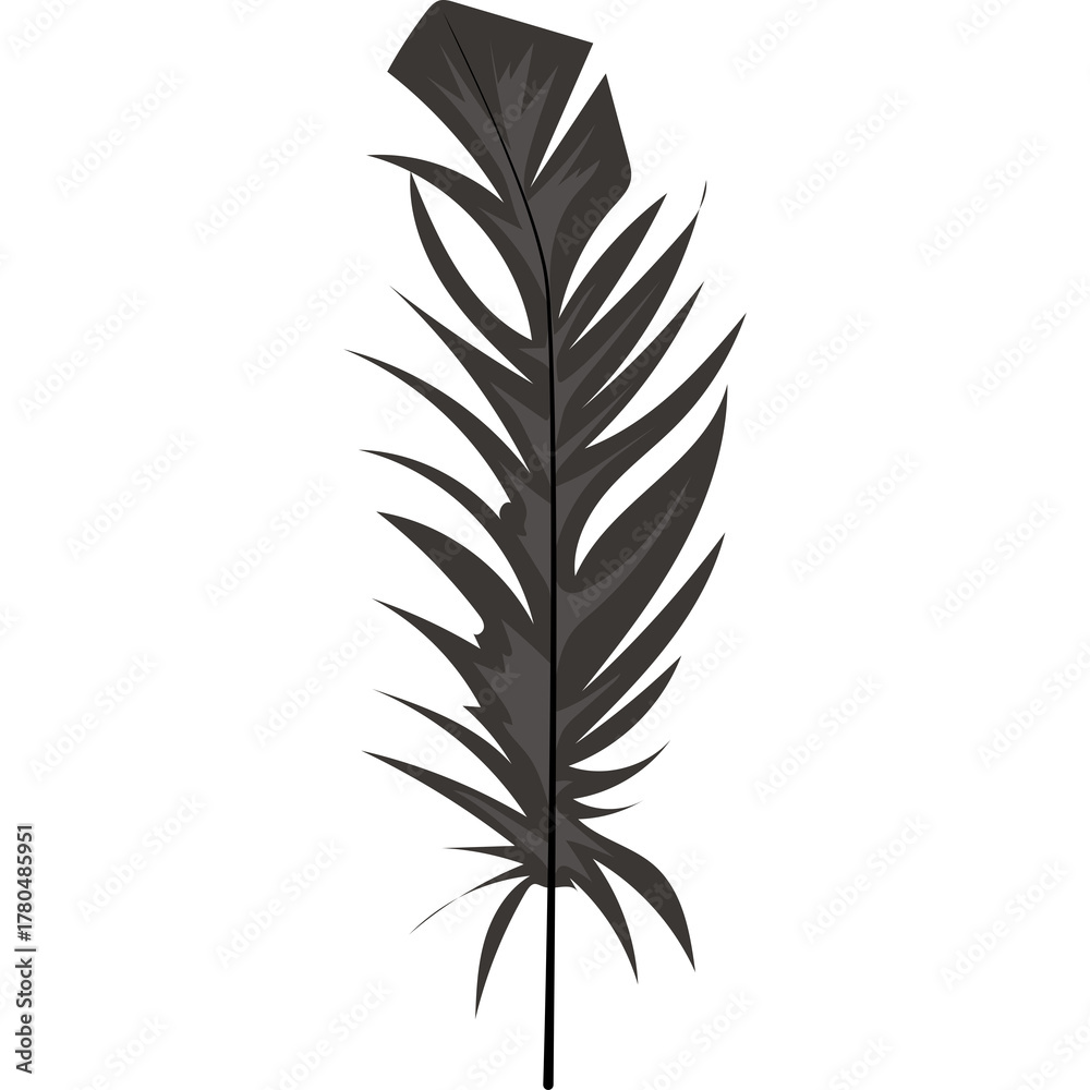 Obraz premium A single detailed black feather with a transparent background isolated on white for graphic design use