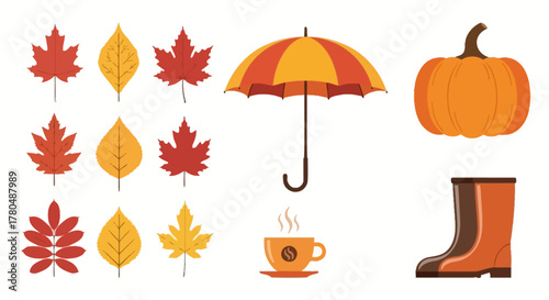 set of colorful autumn leaves