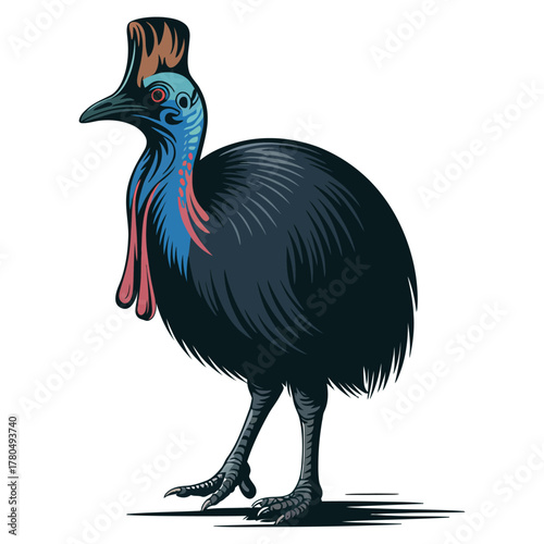 Cassowary