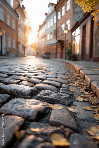 Soft golden light bathes the cobblestone alley in a small historic town. Autumn leaves scatter among the stones, while quaint buildings line the street, creating a peaceful, scenic atmosphere