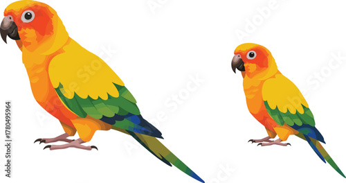 Colorful yellow and green parrots illustration, tropical exotic birds, vibrant vector art of parrot couple isolated on white background