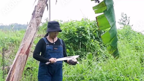 Young woman harvesting banana blossom. 
