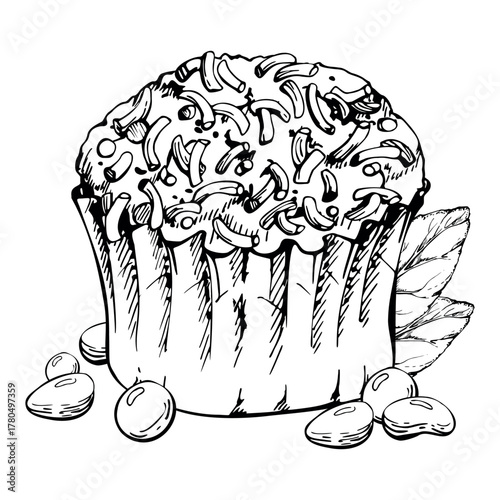 Muffin pastry in parchment condiment cup, sugar sprinkles icing atop cupcake with mint sprigs and candy dragee bonbons. Hand drawn isolated vector ink artwork. Culinary borders, party menu designs.