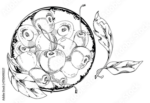 Sweet sour line cherry berries on ceramic plate, hand drawn vector ink, ripe cerise with leaves, stems. Isolated composition illustration. For restaurant, cafe dessert menu, wedding, farmers market