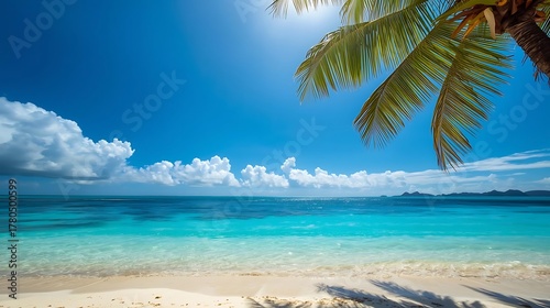 Fototapeta Naklejka Na Ścianę i Meble -  tropical beach with palm trees