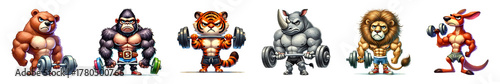 Set of muscular animals cartoon character fitness gym isolated on transparent background.