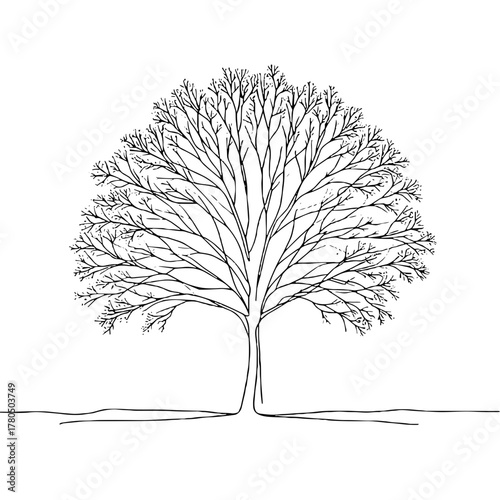 Silhouette of a tree with frosted branches Winter Weather outline / minimal linear vector