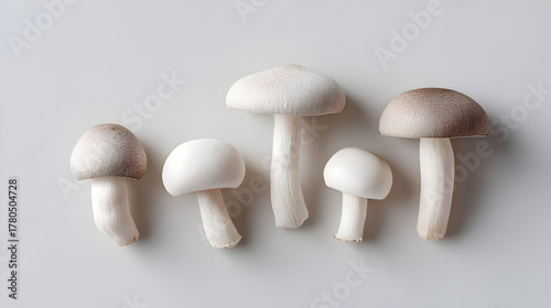 Freshly picked white and brown edible mushrooms presenting their natural textures and colors, arranged on a light background, ready for cooking and healthy eating