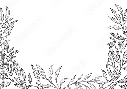 Floral frame template, black and white sketch. Vector illustration. Graceful branches of willow and eucalyptus on the border, isolated on a white background. For banner, wedding card, holiday greeting
