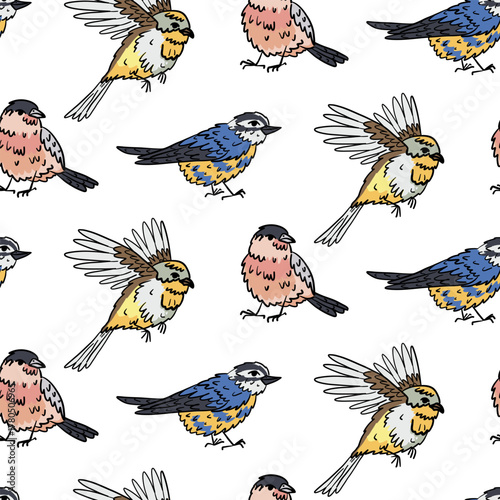 Pattern color with hand-drawn small wild birds with a black outline. Various poses. Repetitive texture with small fluffy birds, sparrows, and titmice for fabric, textile, and packaging design