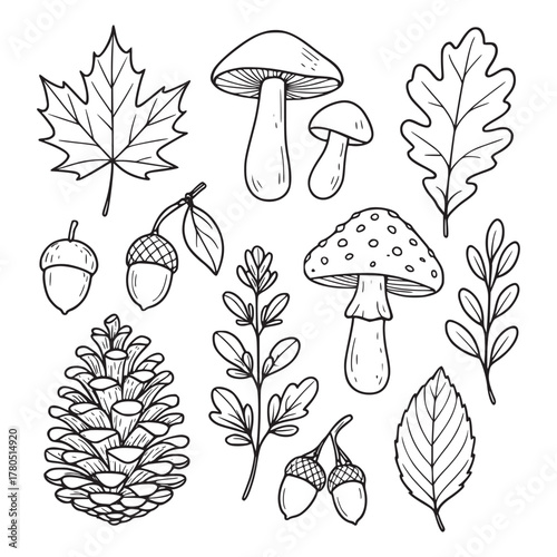 mushrooms and leaves